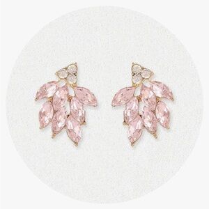 Pink rhinestone earrings. Never worn.